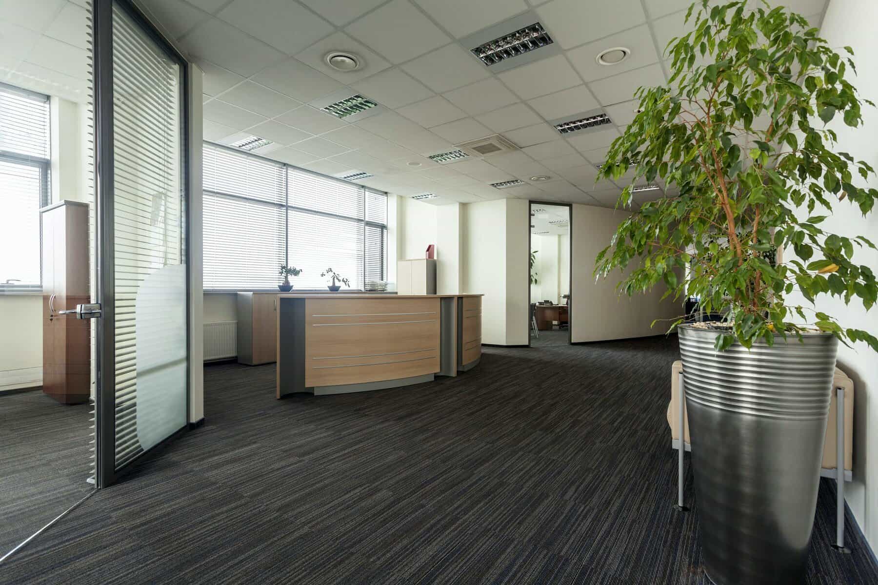 Modern commercial interior with white walls, drop ceiling, dark striped flooring, and wood reception desk.