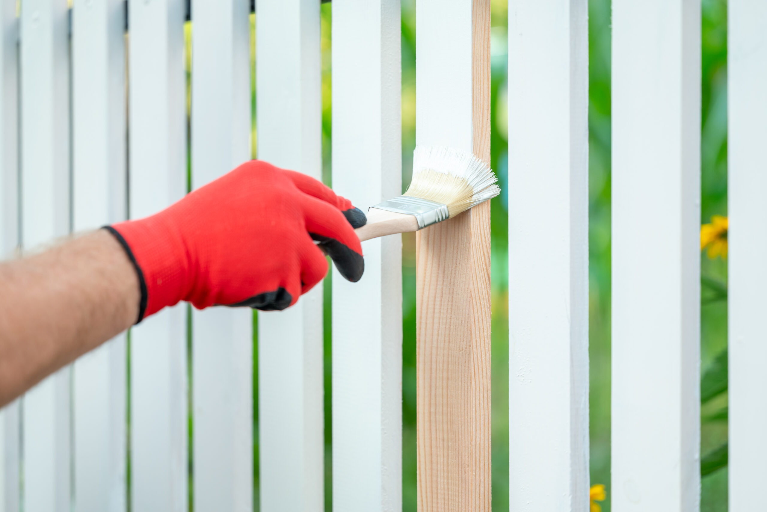 paint or stain my fence