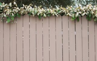 who should paint my fence